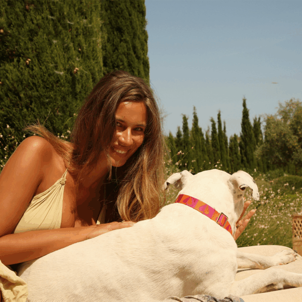 H.E.A.L.® Hundehalsband Jacquard – Bild 10