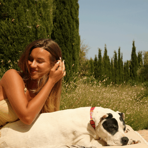 H.E.A.L.® Hundehalsband Jacquard – Bild 9