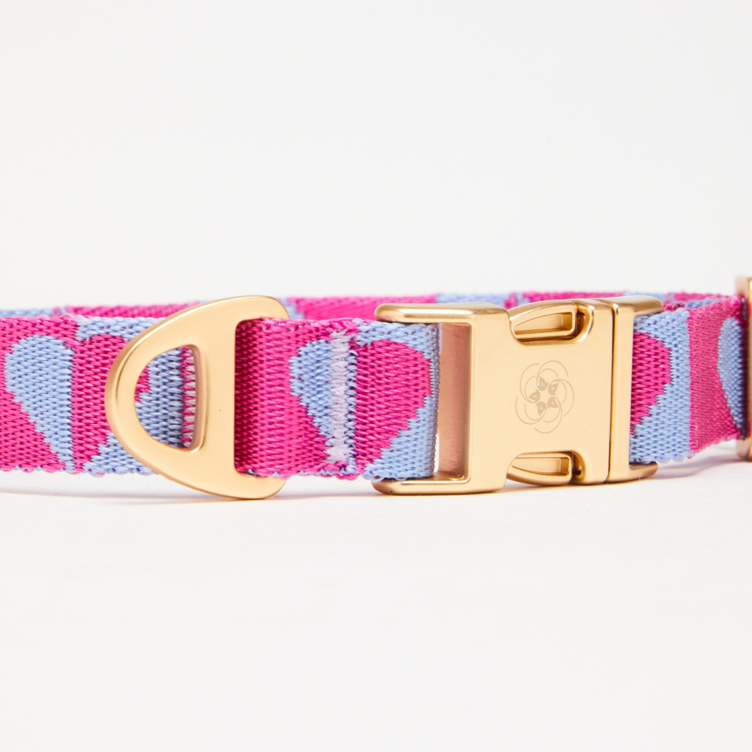 H.E.A.L.® Hundehalsband Jacquard – Bild 11