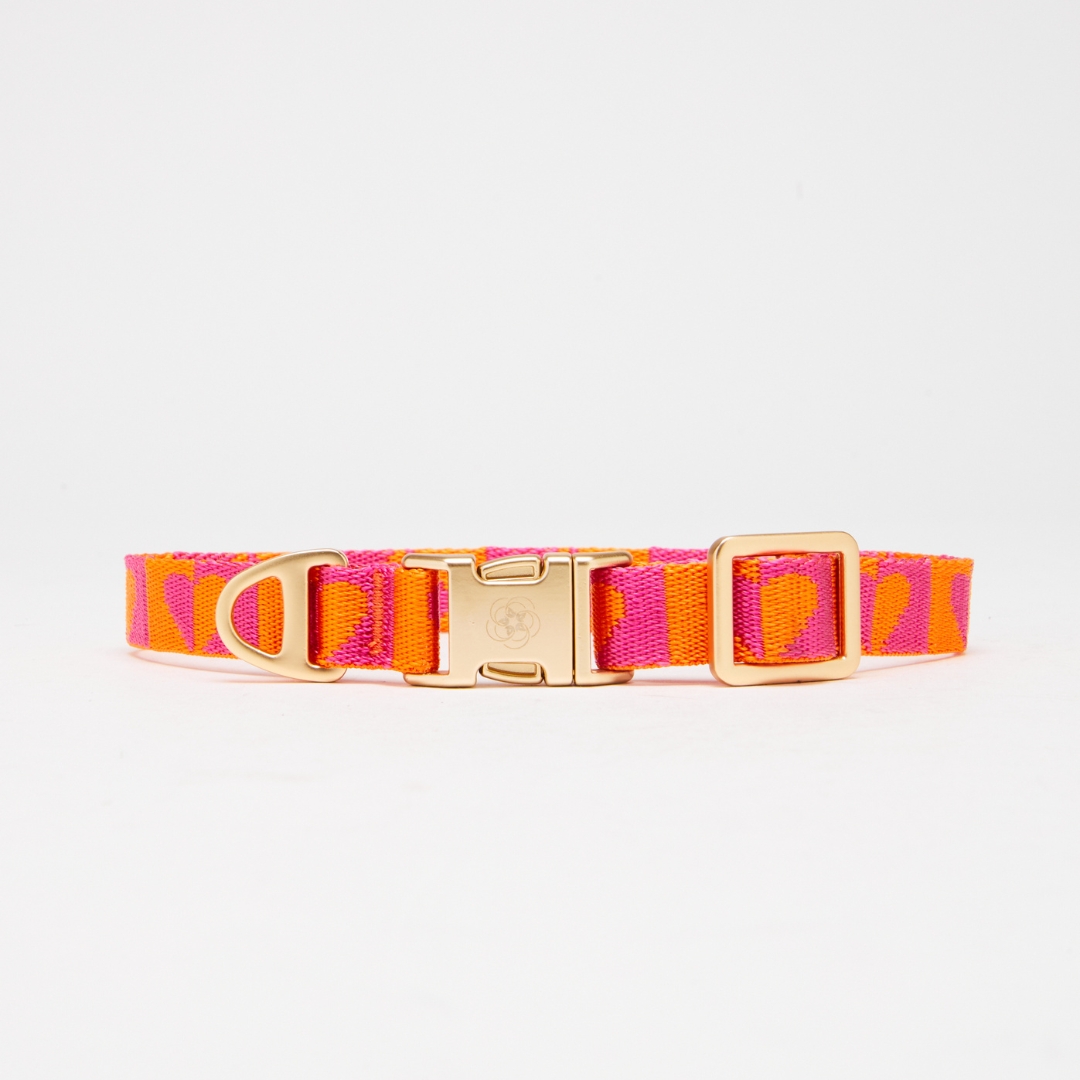 H.E.A.L.® Hundehalsband Jacquard – Bild 10