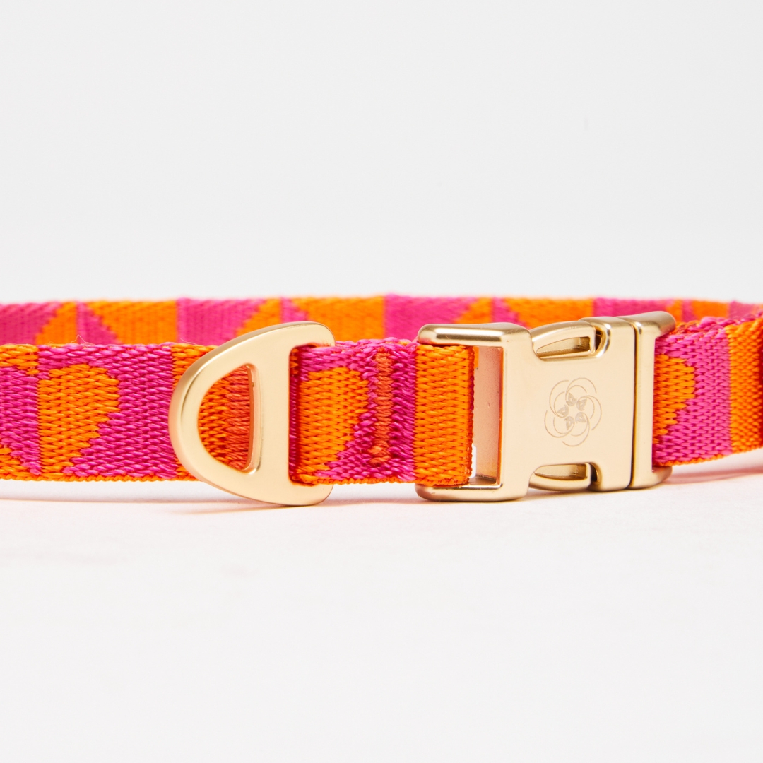 H.E.A.L.® Hundehalsband Jacquard – Bild 9